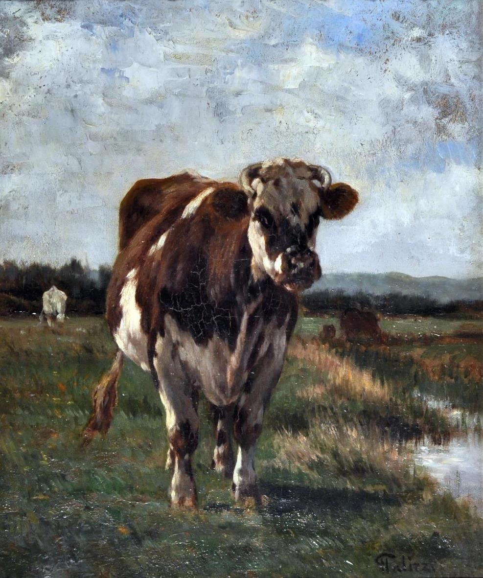 Mucca al pascolo